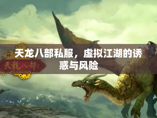 天龙八部私服，虚拟江湖的诱惑与风险