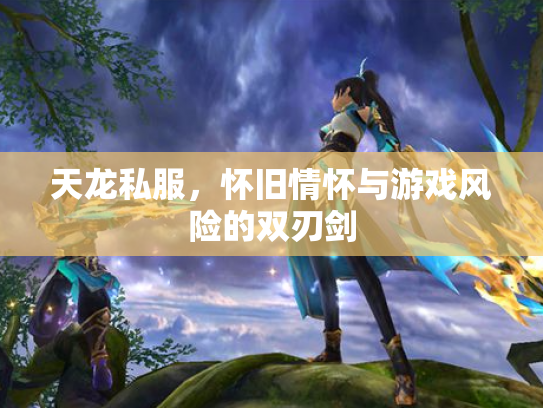 天龙私服，怀旧情怀与游戏风险的双刃剑