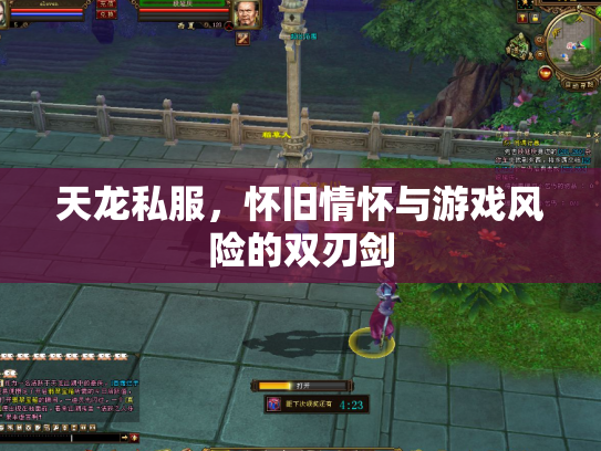 天龙私服，怀旧情怀与游戏风险的双刃剑