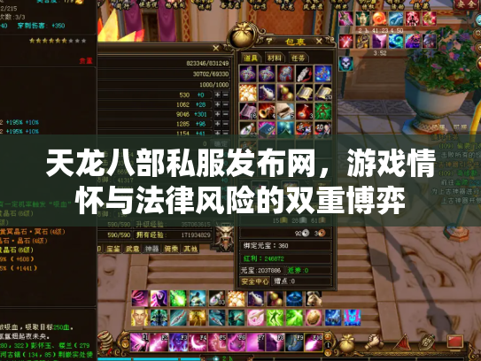 天龙八部私服发布网，游戏情怀与法律风险的双重博弈