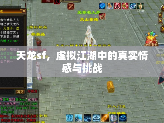 天龙sf，虚拟江湖中的真实情感与挑战