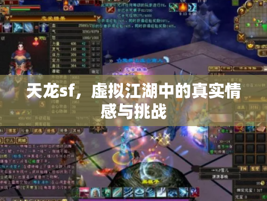天龙sf，虚拟江湖中的真实情感与挑战