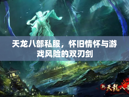 天龙八部私服，怀旧情怀与游戏风险的双刃剑