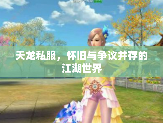 天龙私服，怀旧与争议并存的江湖世界