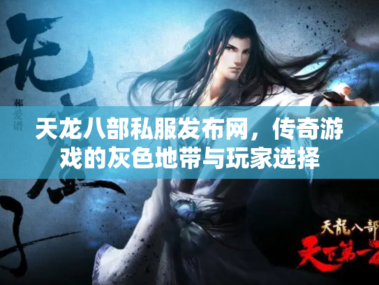 天龙八部私服发布网，传奇游戏的灰色地带与玩家选择