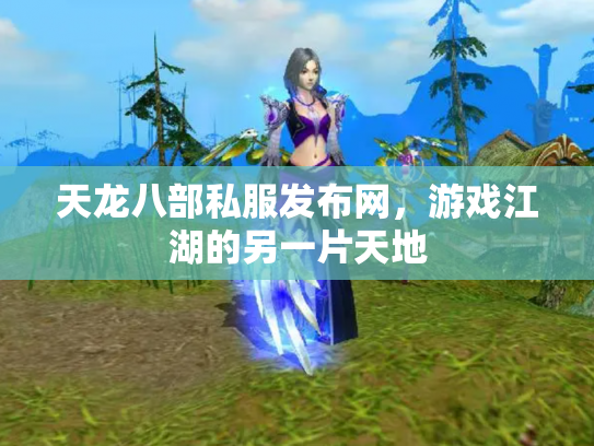 天龙八部私服发布网，游戏江湖的另一片天地