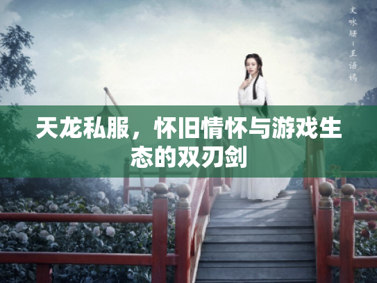 天龙私服，怀旧情怀与游戏生态的双刃剑