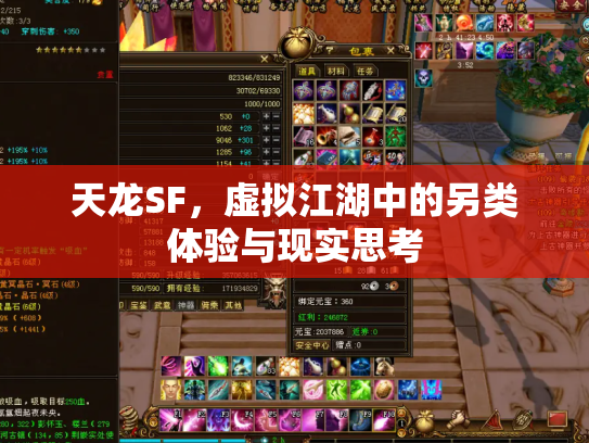 天龙SF，虚拟江湖中的另类体验与现实思考