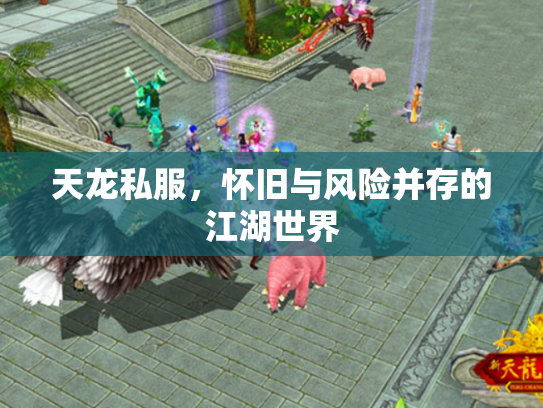 天龙私服，怀旧与风险并存的江湖世界
