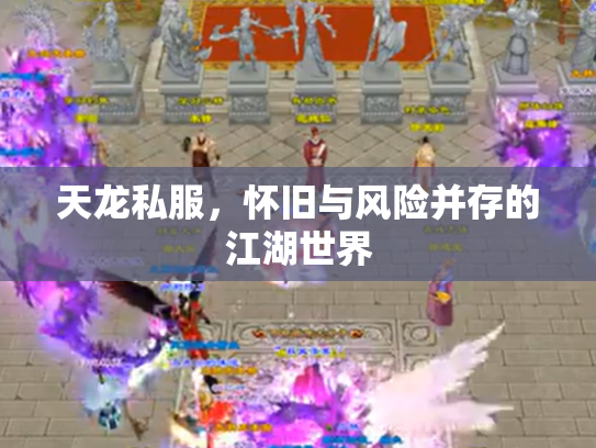 天龙私服，怀旧与风险并存的江湖世界