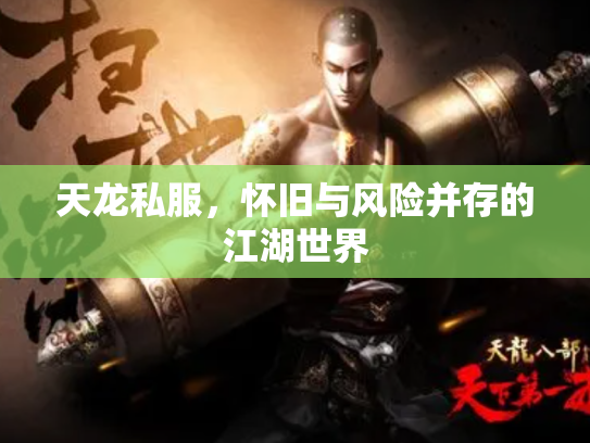 天龙私服，怀旧与风险并存的江湖世界