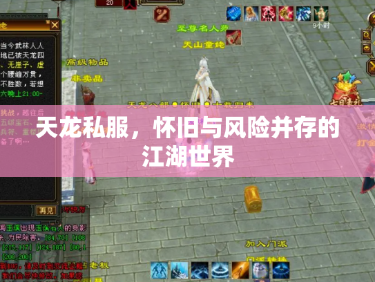 天龙私服，怀旧与风险并存的江湖世界