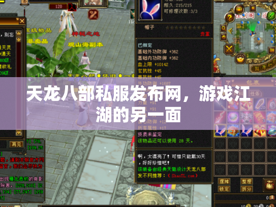 天龙八部私服发布网，游戏江湖的另一面