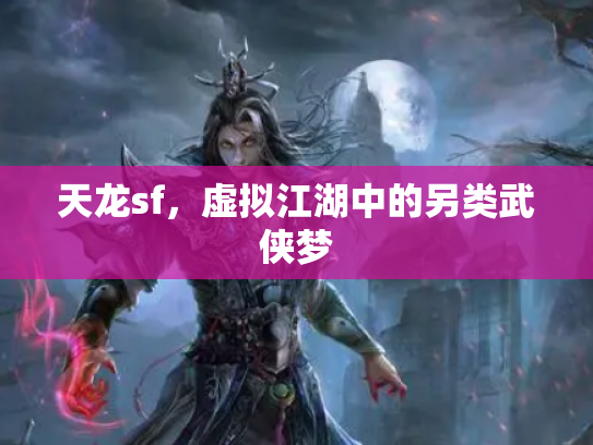 天龙sf，虚拟江湖中的另类武侠梦
