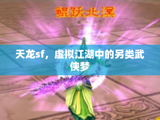 天龙sf，虚拟江湖中的另类武侠梦