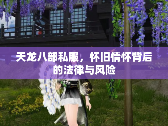 天龙八部私服，怀旧情怀背后的法律与风险