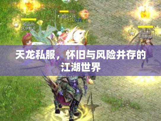 天龙私服，怀旧与风险并存的江湖世界