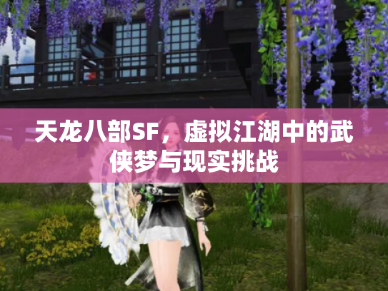 天龙八部SF，虚拟江湖中的武侠梦与现实挑战
