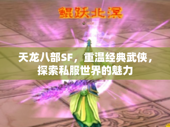 天龙八部SF，重温经典武侠，探索私服世界的魅力