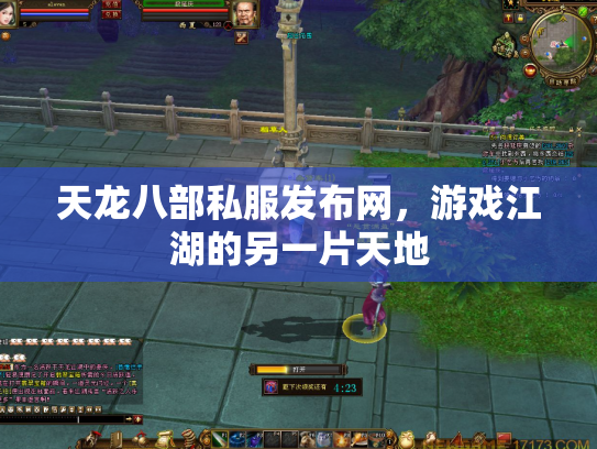 天龙八部私服发布网，游戏江湖的另一片天地
