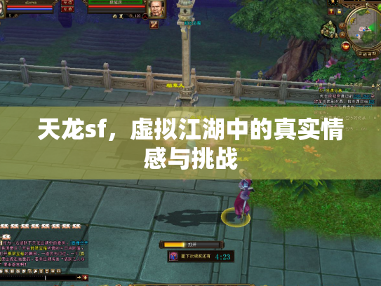 天龙sf，虚拟江湖中的真实情感与挑战