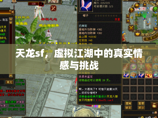 天龙sf，虚拟江湖中的真实情感与挑战