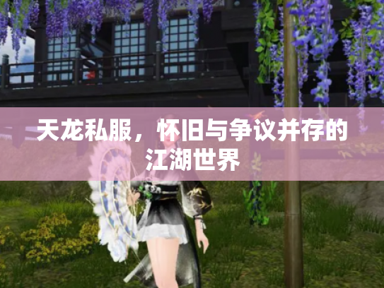天龙私服，怀旧与争议并存的江湖世界