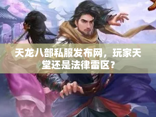 天龙八部私服发布网，玩家天堂还是法律雷区？