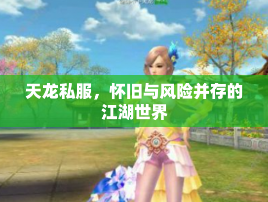 天龙私服，怀旧与风险并存的江湖世界