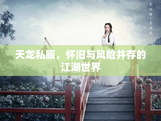 天龙私服，怀旧与风险并存的江湖世界