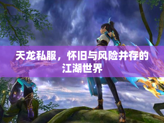 天龙私服，怀旧与风险并存的江湖世界