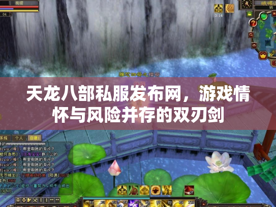 天龙八部私服发布网，游戏情怀与风险并存的双刃剑