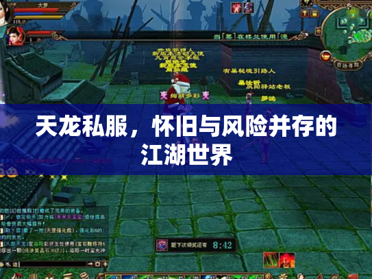 天龙私服，怀旧与风险并存的江湖世界