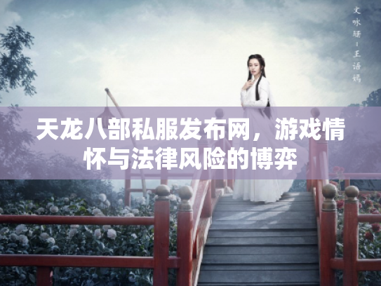 天龙八部私服发布网，游戏情怀与法律风险的博弈