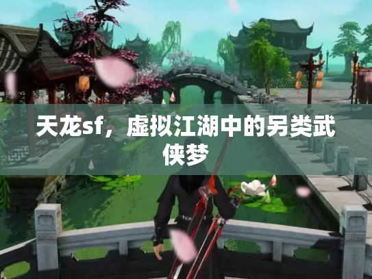 天龙sf，虚拟江湖中的另类武侠梦