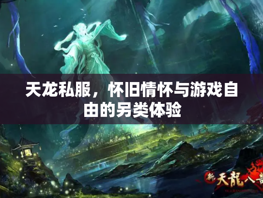 天龙私服，怀旧情怀与游戏自由的另类体验