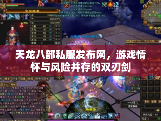 天龙八部私服发布网，游戏情怀与风险并存的双刃剑