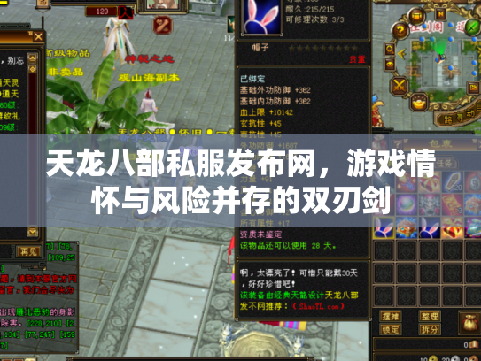 天龙八部私服发布网，游戏情怀与风险并存的双刃剑