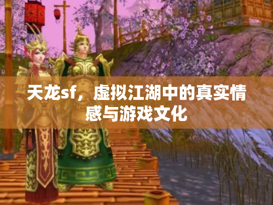 天龙sf，虚拟江湖中的真实情感与游戏文化