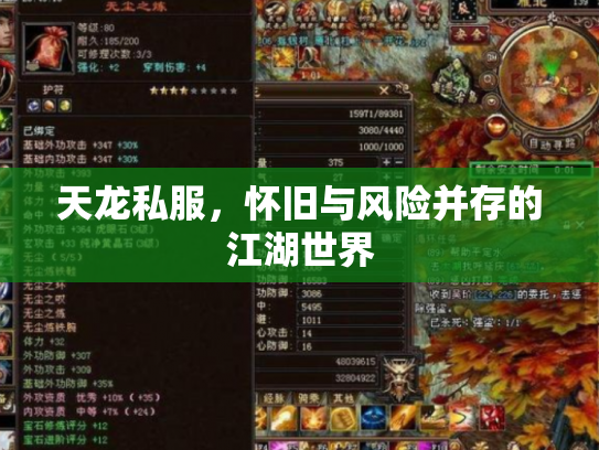天龙私服，怀旧与风险并存的江湖世界