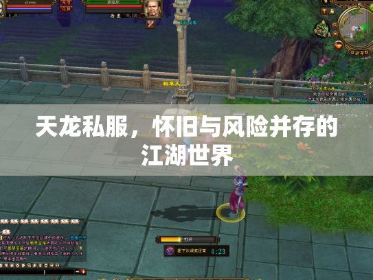 天龙私服，怀旧与风险并存的江湖世界