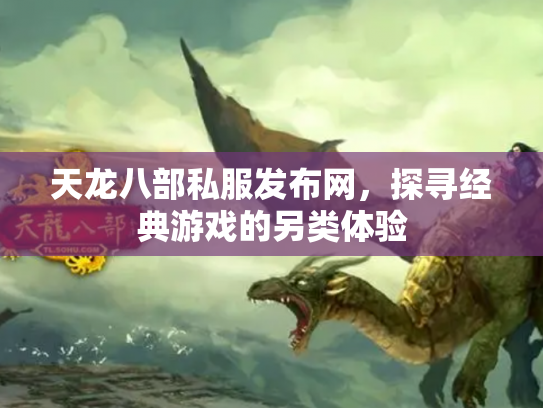 天龙八部私服发布网，探寻经典游戏的另类体验