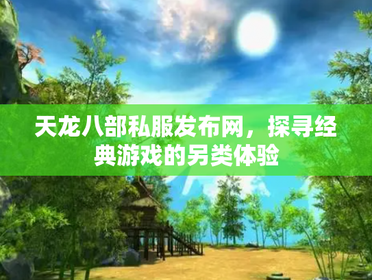天龙八部私服发布网，探寻经典游戏的另类体验