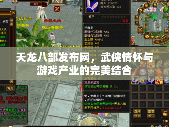 天龙八部发布网，武侠情怀与游戏产业的完美结合