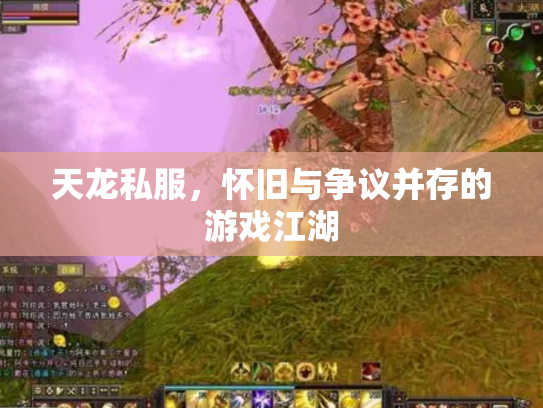 天龙私服，怀旧与争议并存的游戏江湖