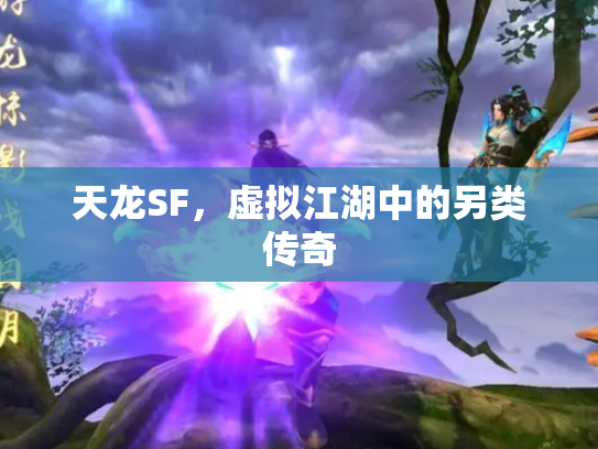 天龙SF，虚拟江湖中的另类传奇