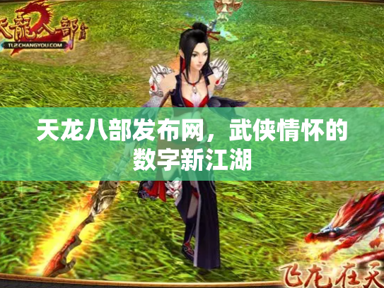 天龙八部发布网，武侠情怀的数字新江湖