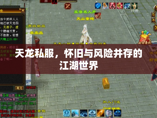 天龙私服，怀旧与风险并存的江湖世界