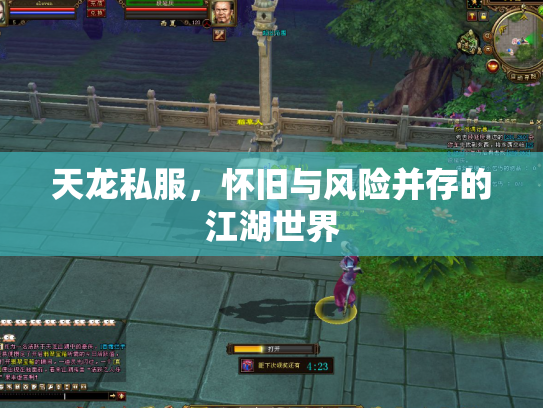 天龙私服，怀旧与风险并存的江湖世界