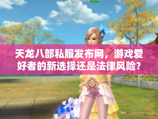 天龙八部私服发布网，游戏爱好者的新选择还是法律风险？